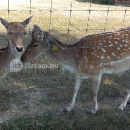 Hotel Európa Gunaras Dombóvár - Egyéb