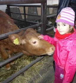 Állatsimogató - Fenyvespuszta