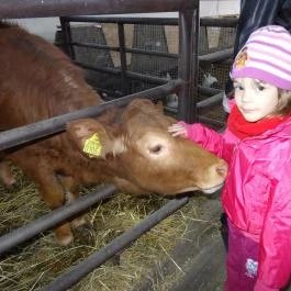 Állatsimogató - Fenyvespuszta Balatonmagyaród - Egyéb