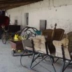 Állatsimogató - Fenyvespuszta Balatonmagyaród - 