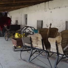 Állatsimogató - Fenyvespuszta Balatonmagyaród - Egyéb