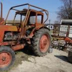 Állatsimogató - Fenyvespuszta Balatonmagyaród - 