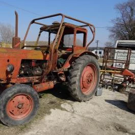 Állatsimogató - Fenyvespuszta Balatonmagyaród - Egyéb