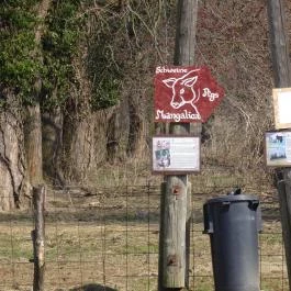 Állatsimogató - Fenyvespuszta Balatonmagyaród - Egyéb