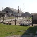 Állatsimogató - Fenyvespuszta Balatonmagyaród - 