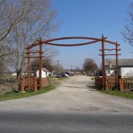 Állatsimogató - Fenyvespuszta Balatonmagyaród - Egyéb