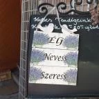 Andi Grillkert Csopak - Egyéb