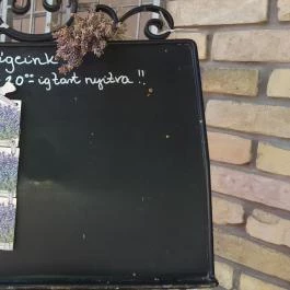 Andi Grillkert, Csopak - Egyéb