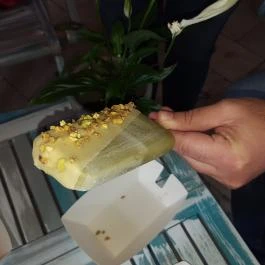 Anjuna Ice Pops Balatonfüred - Étel/ital