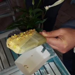 Anjuna Ice Pops Balatonfüred - Étel/ital