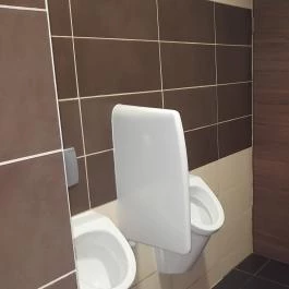 AzÉn Anyósom Alsópáhok - Mosdó