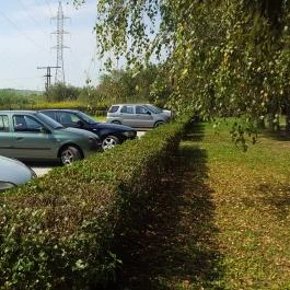 AzÉn Anyósom Alsópáhok - Egyéb