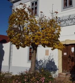 Bagolyvár Fogadó étterme