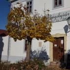 Bagolyvár Fogadó Zirc - Külső kép