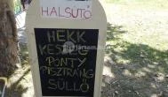 Fűzfő Halsütő Balatonfűzfő - Külső kép