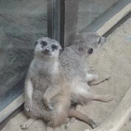 Bambara Hotel Felsőtárkány - Belső