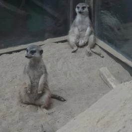 Bambara Hotel Felsőtárkány - Belső