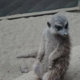 Bambara Hotel Felsőtárkány - Belső