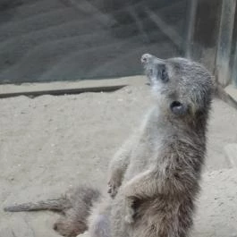 Bambara Hotel Felsőtárkány - Belső