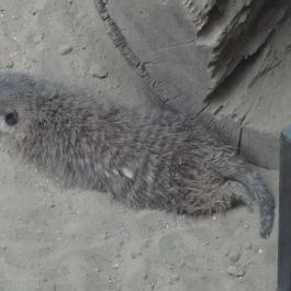 Bambara Hotel Felsőtárkány - Belső