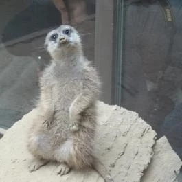 Bambara Hotel Felsőtárkány - Belső