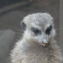 Bambara Hotel Felsőtárkány - Belső