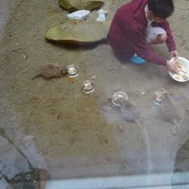 Bambara Hotel Felsőtárkány - Belső