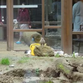 Bambara Hotel Felsőtárkány - Belső