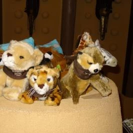 Bambara Hotel Felsőtárkány - Belső