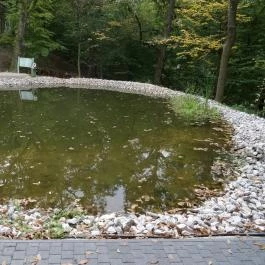 Bambara Hotel Felsőtárkány - Medence/kert