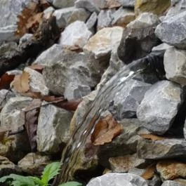 Bambara Hotel Felsőtárkány - Környék