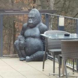 Bambara Hotel Felsőtárkány - Külső kép