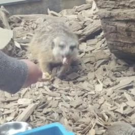 Bambara Hotel Felsőtárkány - Egyéb