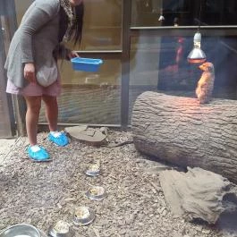 Bambara Hotel Felsőtárkány - Egyéb