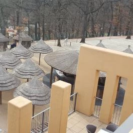 Bambara Hotel Felsőtárkány - Medence/kert