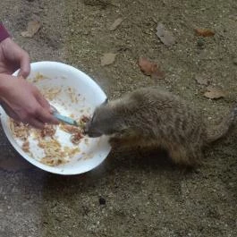 Bambara Hotel Felsőtárkány - Egyéb