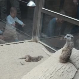 Bambara Hotel Felsőtárkány - Egyéb