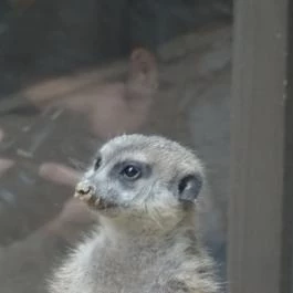 Bambara Hotel Felsőtárkány - Egyéb