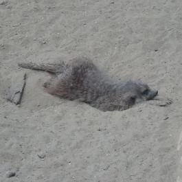 Bambara Hotel Felsőtárkány - Egyéb