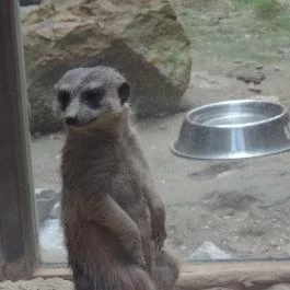 Bambara Hotel Felsőtárkány - Egyéb