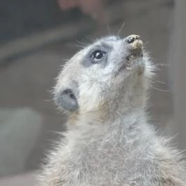 Bambara Hotel Felsőtárkány - Egyéb