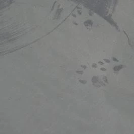 Bambara Hotel Felsőtárkány - Egyéb