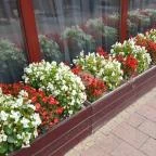 Bassiana Hotel Étterme Sárvár - Külső kép