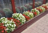 Bassiana Hotel Étterme Sárvár