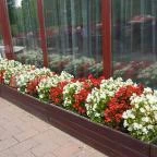 Bassiana Hotel Étterme Sárvár - Külső kép