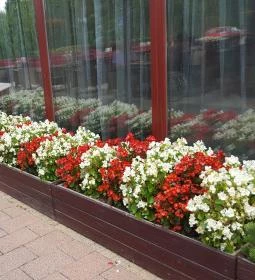 Bassiana Hotel Étterme