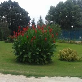 Batthyány Kastélyszálló Zalacsány - Környék