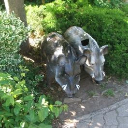 Bergmann Cukrászda Balatonfüred - Egyéb