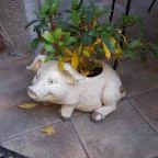 Bergmann Cukrászda - Zsigmond utca Balatonfüred - Külső kép