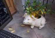 Bergmann Cukrászda - Zsigmond utca Balatonfüred